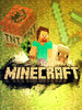 Minecraft <br>