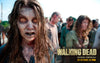The walking dead temporada 2